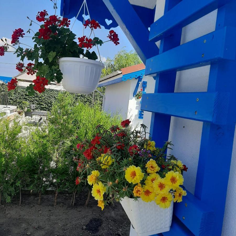 Hotel Complex Turistic Essenza Murighiol Zewnętrze zdjęcie