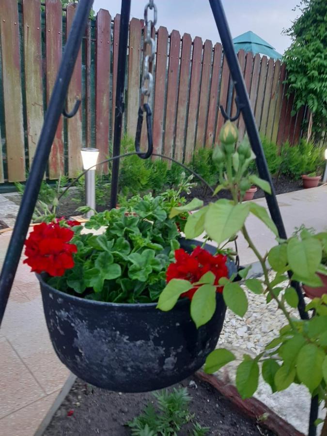 Hotel Complex Turistic Essenza Murighiol Zewnętrze zdjęcie