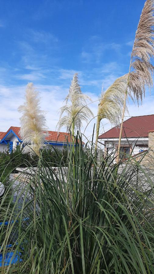 Hotel Complex Turistic Essenza Murighiol Zewnętrze zdjęcie